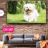 Malta Köpeği / Çocuk & Çocuk Kalanlar İçin Tablolar